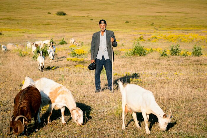Farm And Ranch Insurance